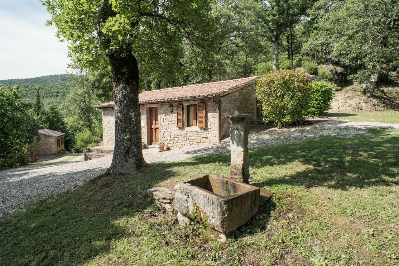 Casa Rancacci Pensionat Mercatale  Exteriör bild