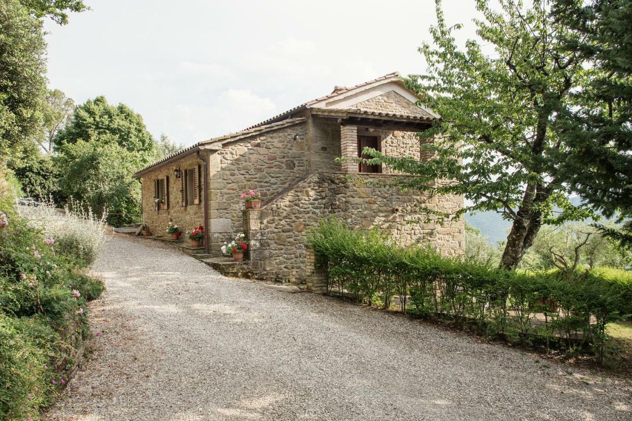 Casa Rancacci Pensionat Mercatale  Exteriör bild